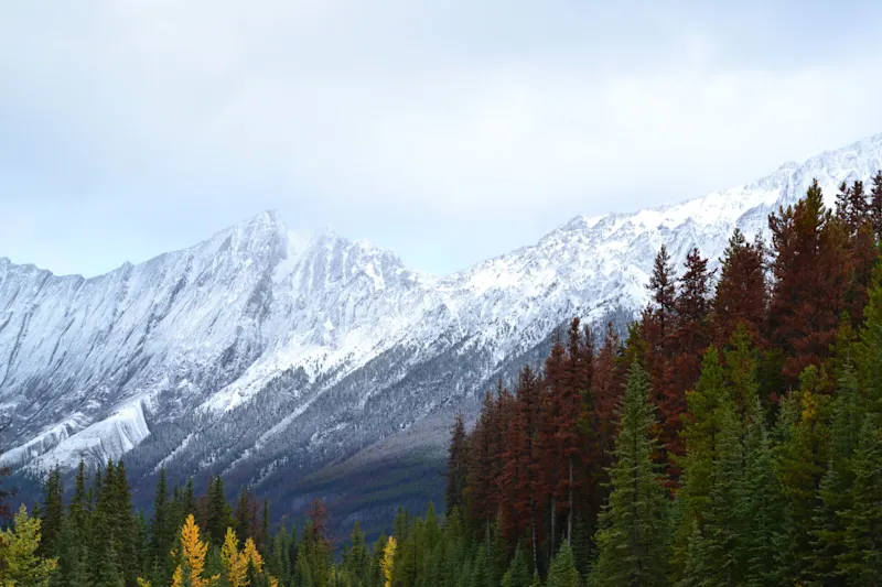 Photo from Jasper, Canada