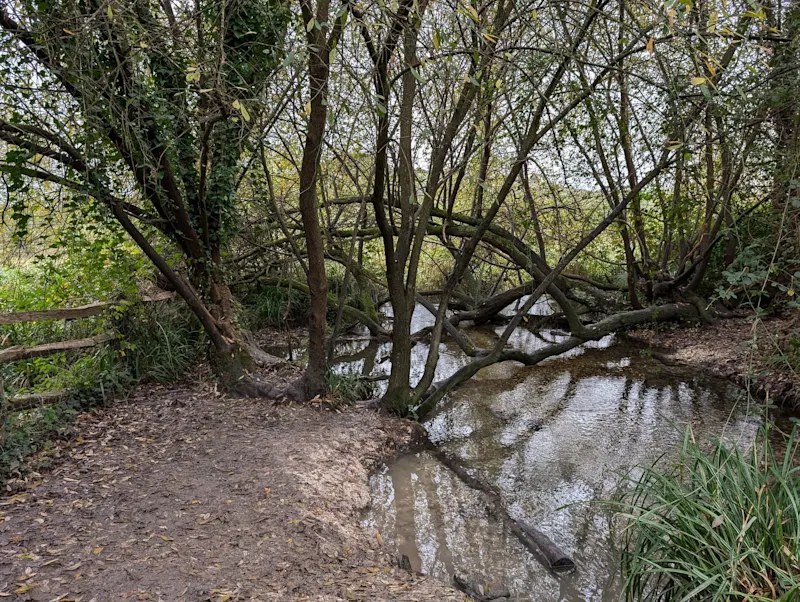 Photo from Winchester, England