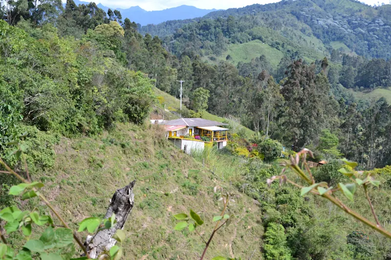 Photo from Quindio, Colombia