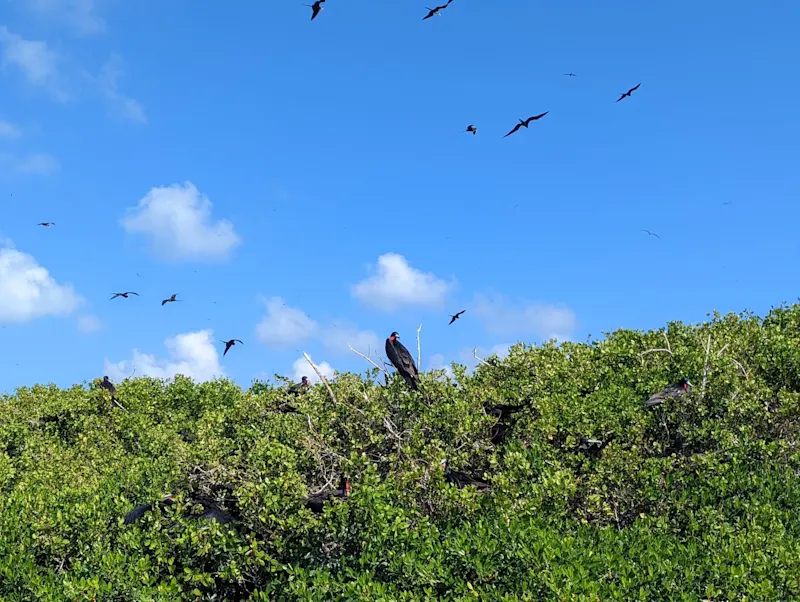 Photo from Barbuda, Antigua & Barbuda