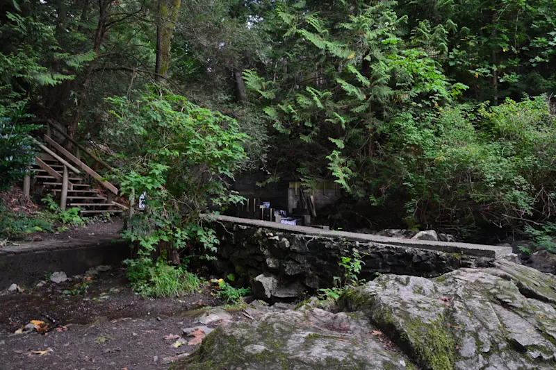 Photo from Bowen Island, Canada