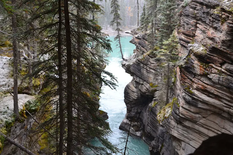 Photo from Jasper, Canada