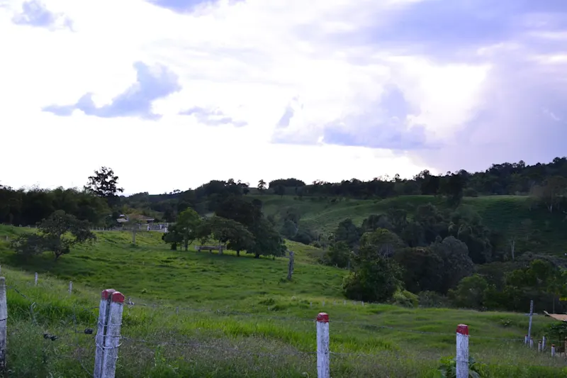 Photo from Quindio, Colombia