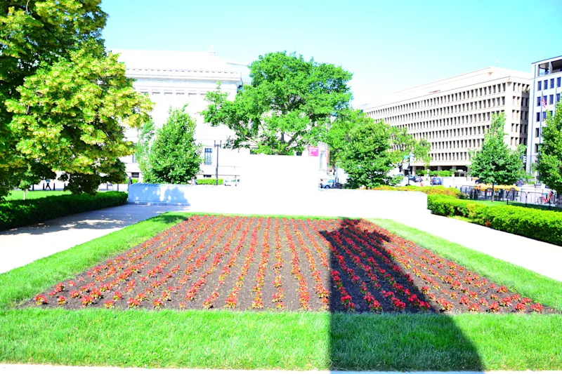 Photo from Washington DC, United States