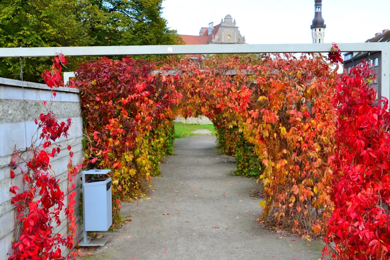 Photo from Tallinn, Estonia