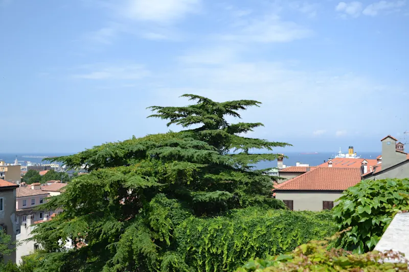 Photo from Trieste, Italy