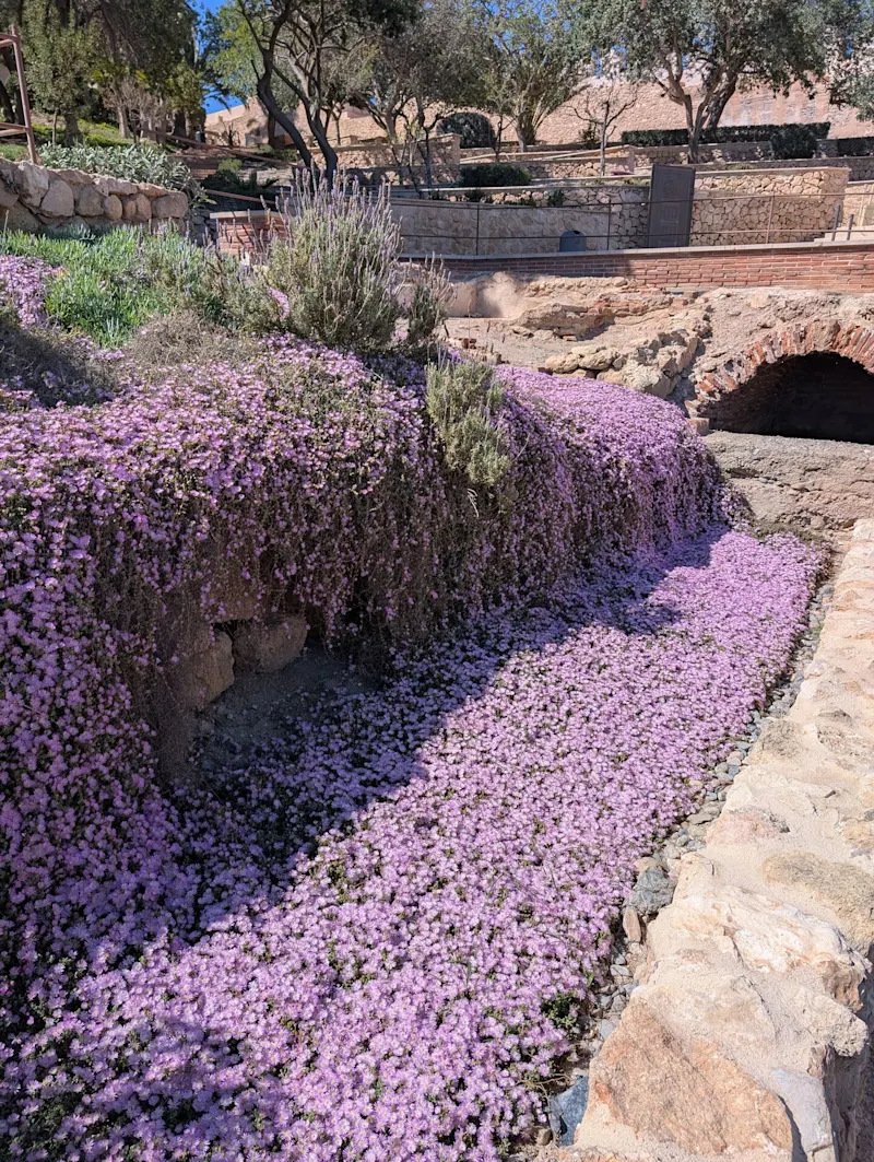 Photo from Almeria, Spain