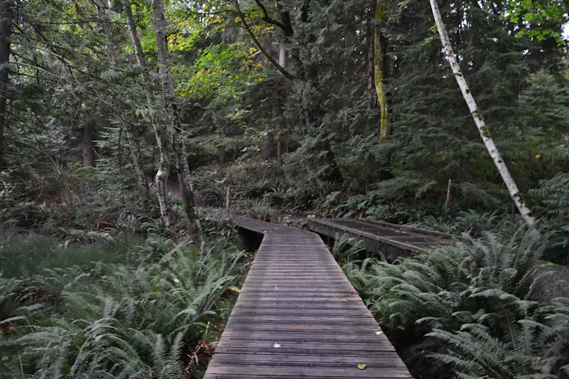 Photo from Bowen Island, Canada