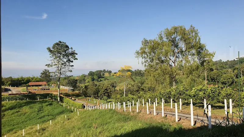 Photo from Quindio, Colombia