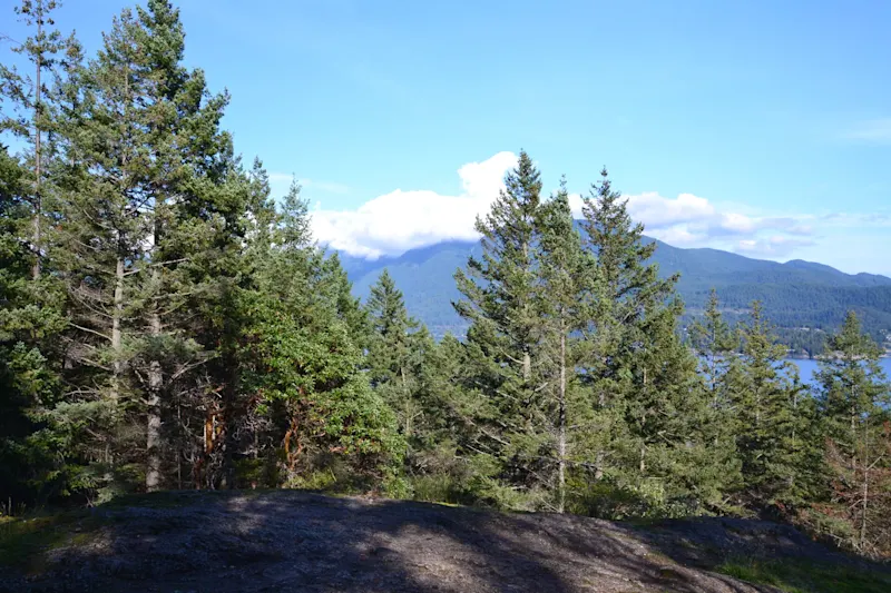 Photo from Bowen Island, Canada