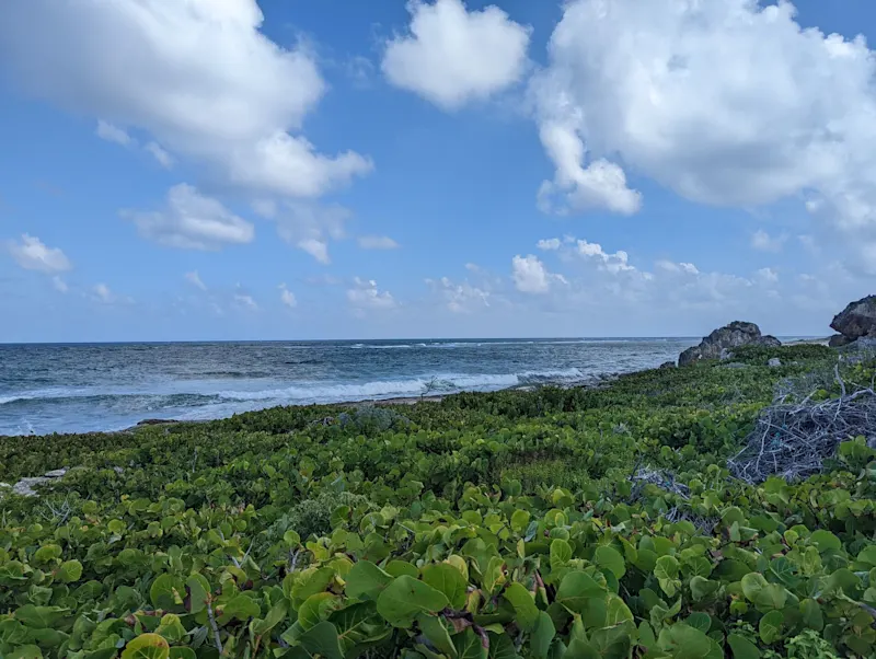 Photo from Barbuda, Antigua & Barbuda