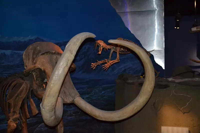 Photo from Drumheller, Canada