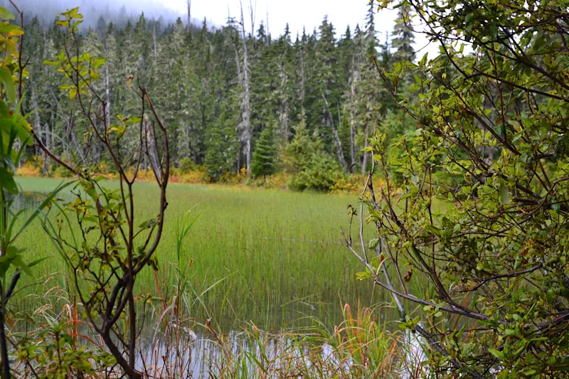 Photo from Joffre Lakes, Canada