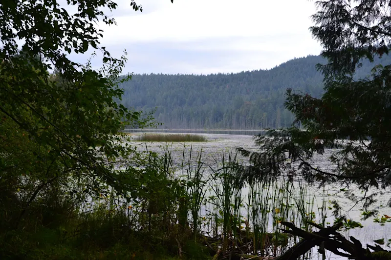 Photo from Bowen Island, Canada