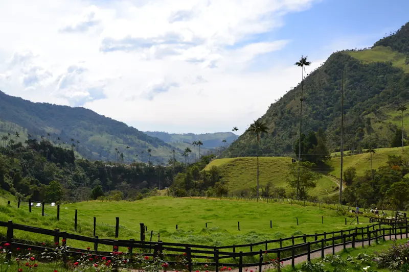 Photo from Quindio, Colombia