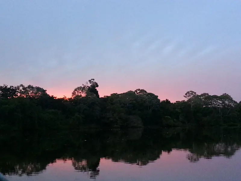 Photo from Pantanal, Brazil