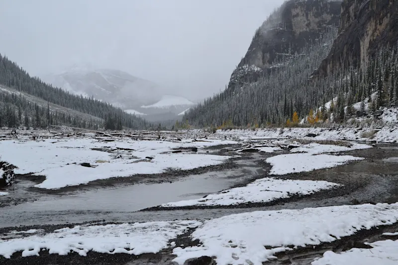 Photo from Icefields Parkway, Canada