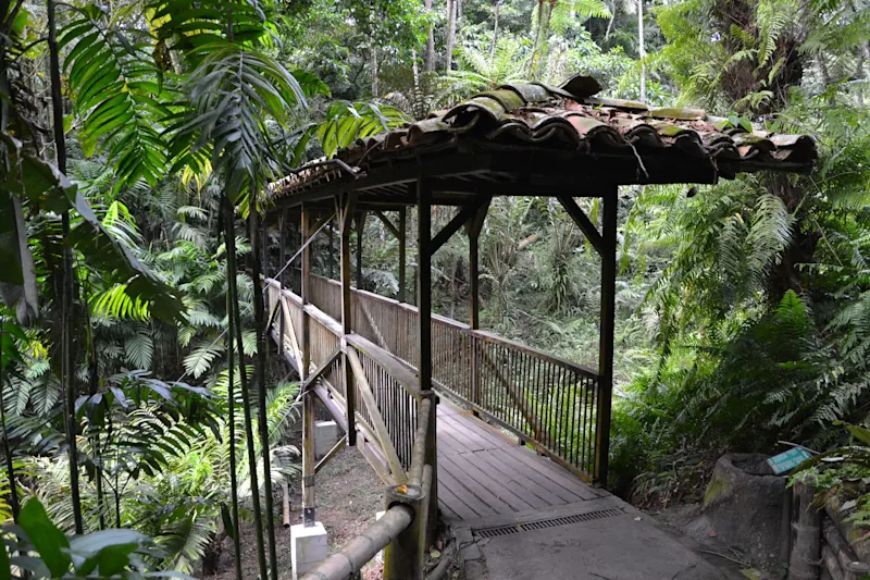 Photo from Quindio, Colombia