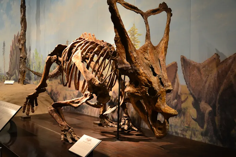 Photo from Drumheller, Canada