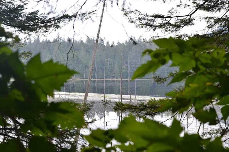 Photo from Bowen Island, Canada