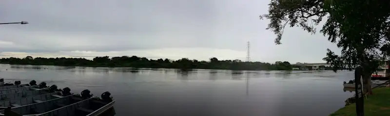 Photo from Pantanal, Brazil