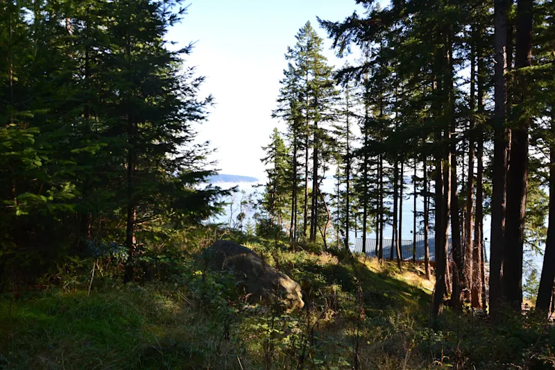 Photo from Bowen Island, Canada