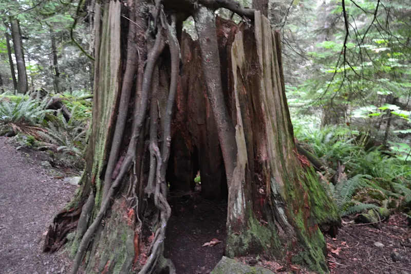 Photo from Bowen Island, Canada