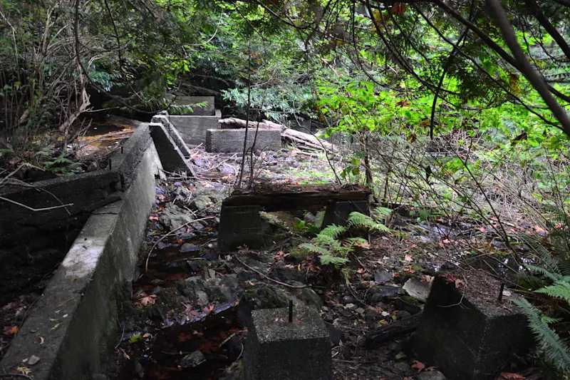 Photo from Bowen Island, Canada