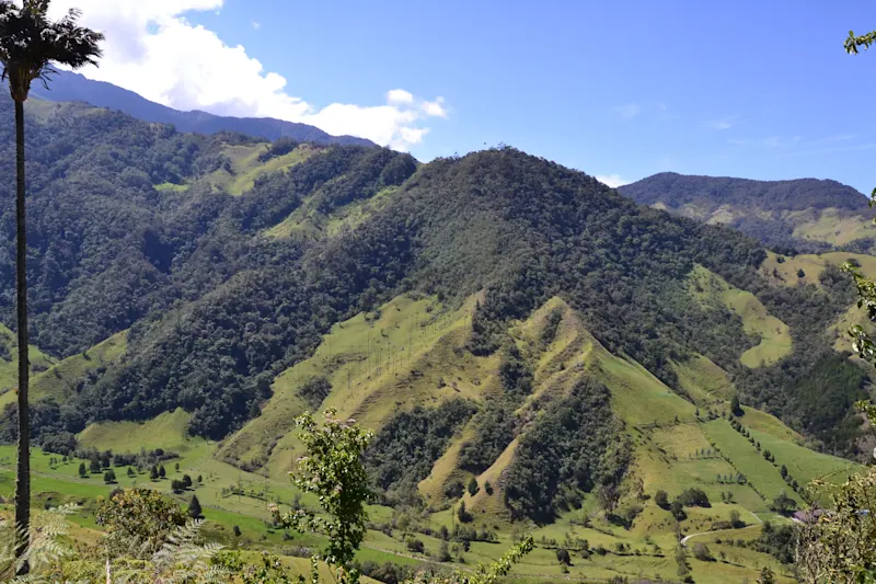 Photo from Quindio, Colombia