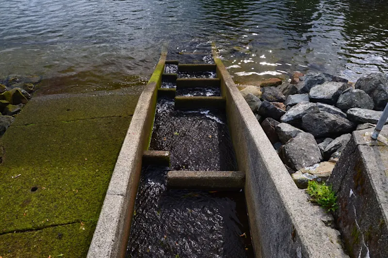 Photo from Bowen Island, Canada