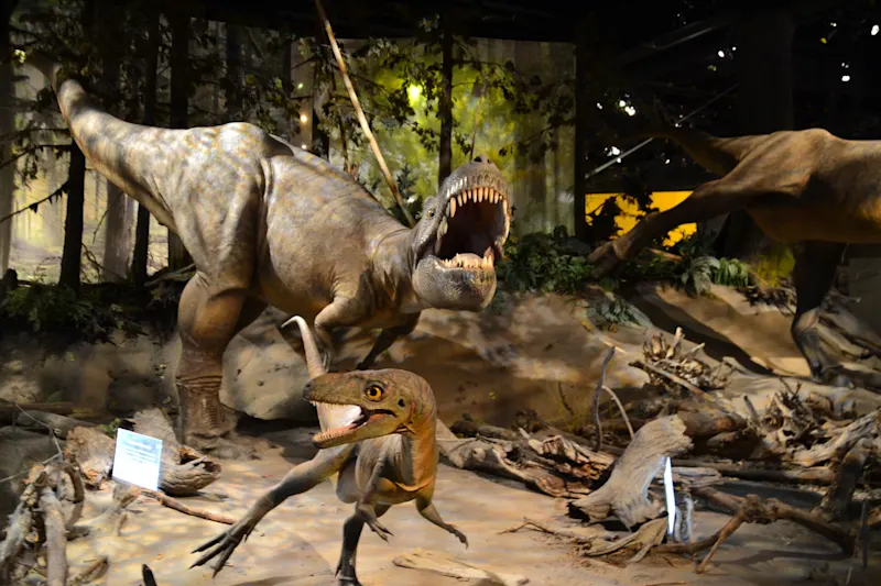 Photo from Drumheller, Canada