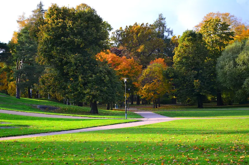 Photo from Helsinki, Finland