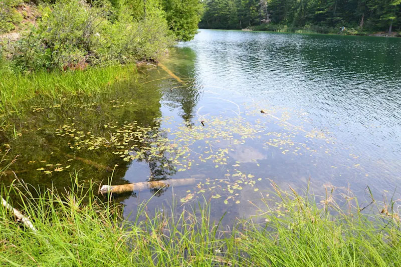 Photo from Ottawa, Canada