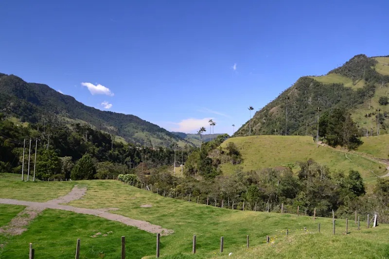 Photo from Quindio, Colombia