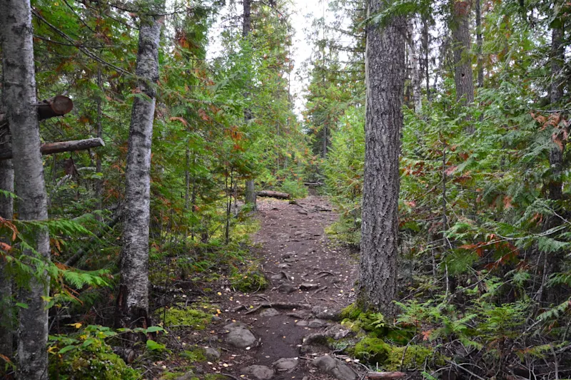 Photo from Yellowhead, Canada