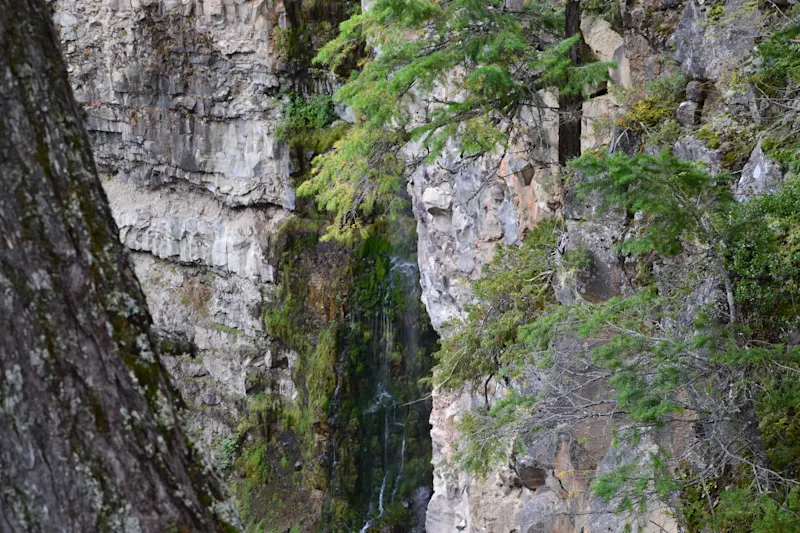 Photo from Yellowhead, Canada