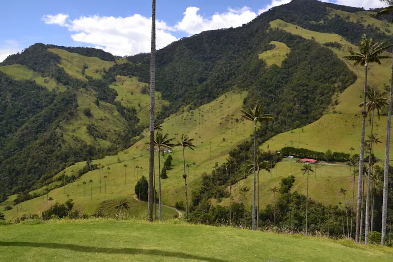 Photo from Quindio, Colombia