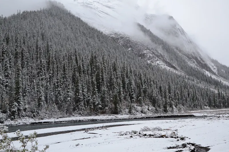 Photo from Icefields Parkway, Canada