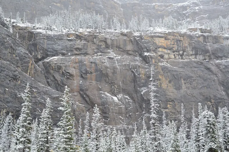 Photo from Icefields Parkway, Canada