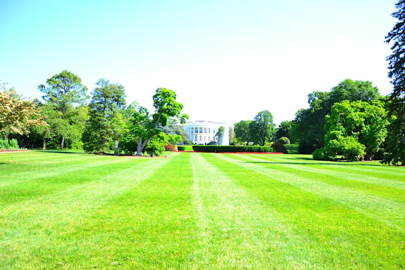 Photo from Washington DC, United States