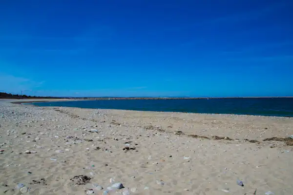 Preview of Cape Cod