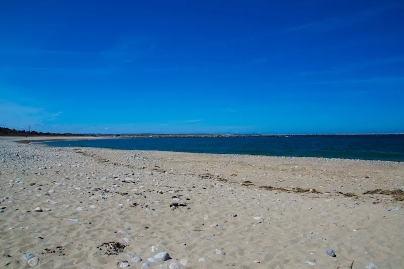 Photo from Cape Cod, United States
