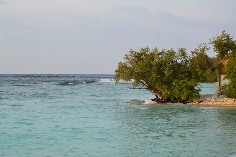 Photo from Helengeli, Maldives