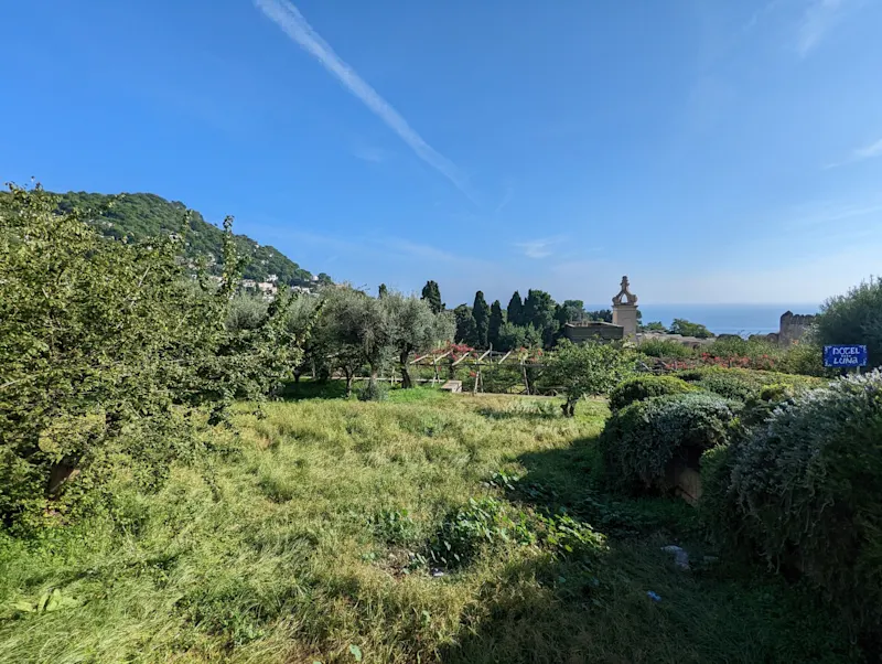 Photo from Capri, Italy