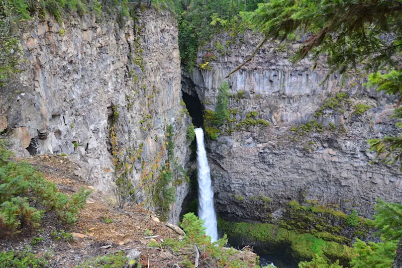 Photo from Yellowhead, Canada