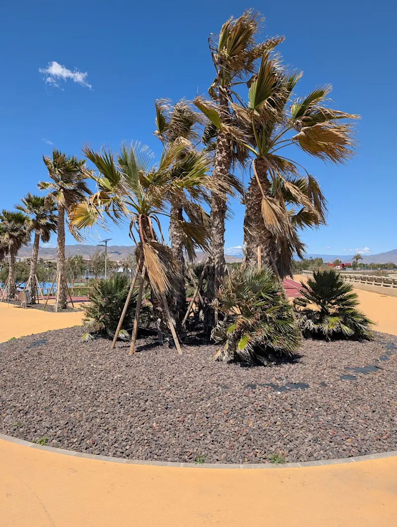 Photo from Almeria, Spain