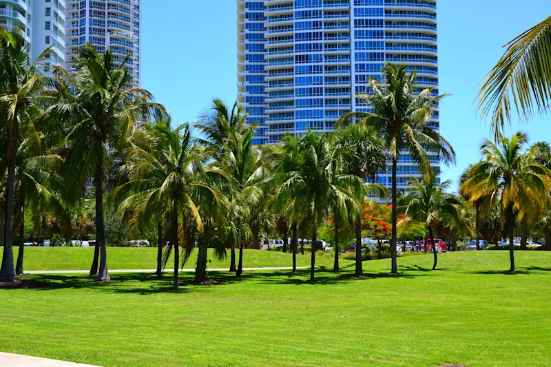 Photo from Miami, United States