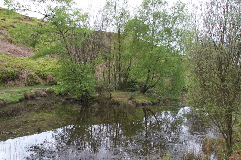 Photo from Ilkley, England