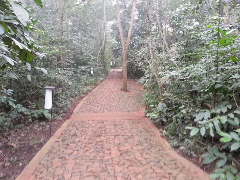 Photo from Iguazu Falls, Brazil