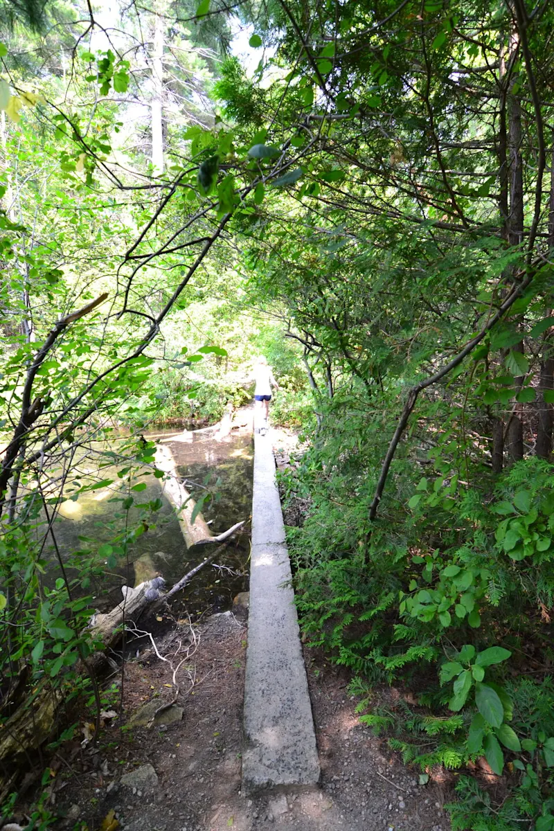 Photo from Ottawa, Canada